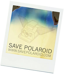 Polaroid